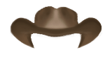 cowboy hat
